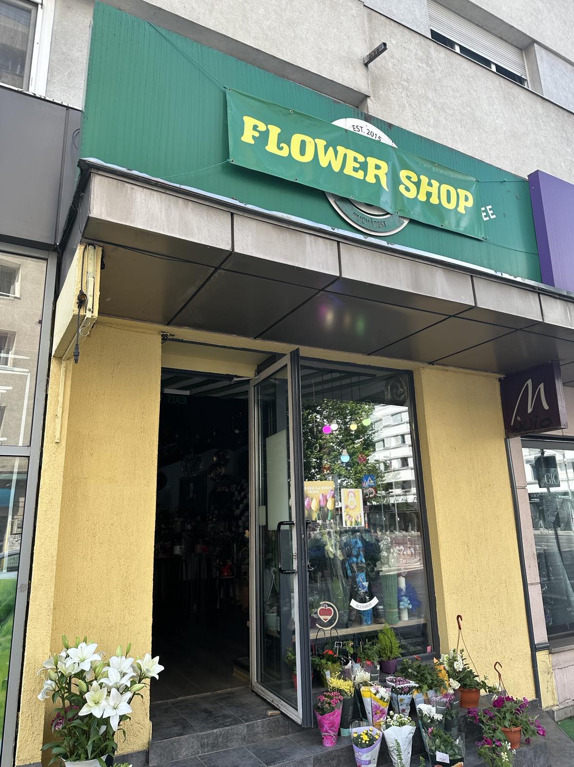 Logo Florăria Elisa